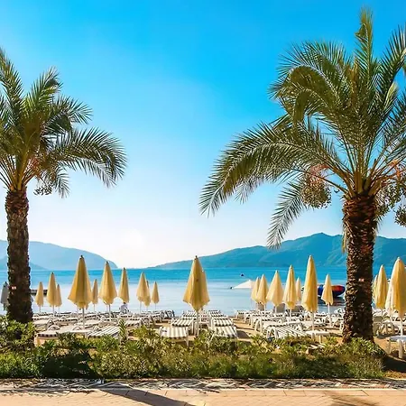 Hotel Aurasia Sea Side 3*