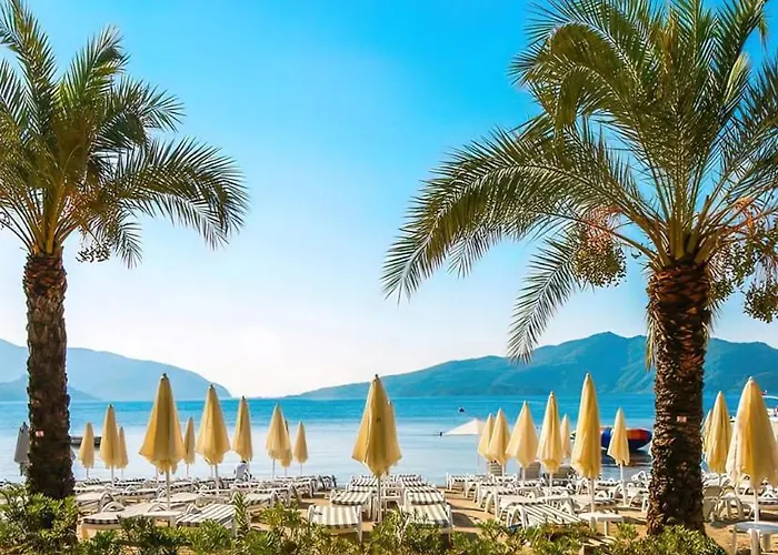 Hotel Aurasia Sea Side 3*